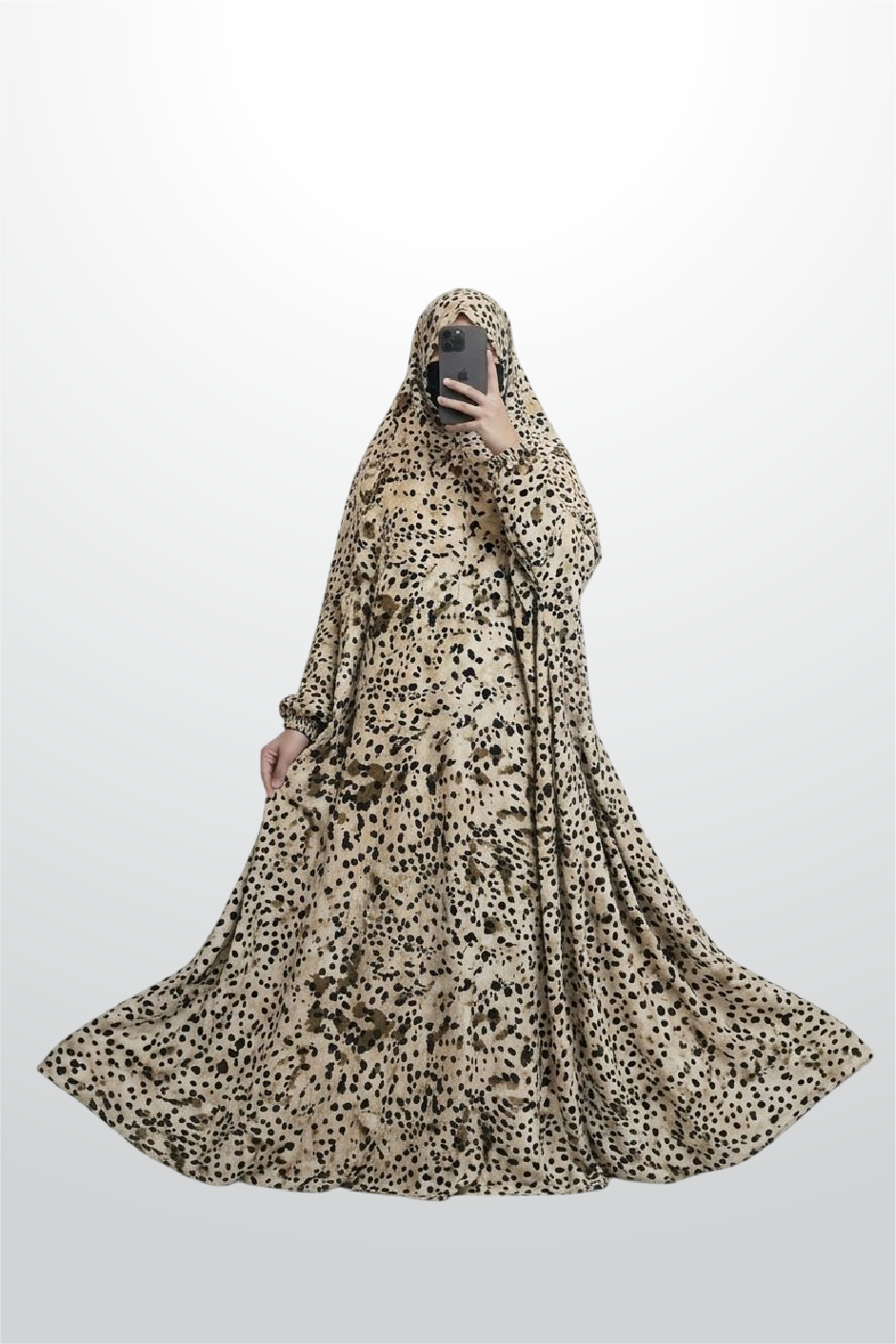 Desert Cheetah Flow